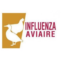 Détection d'un cas d'influenza aviaire